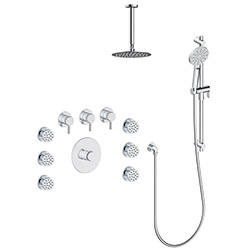 3 function thermostatic shower system